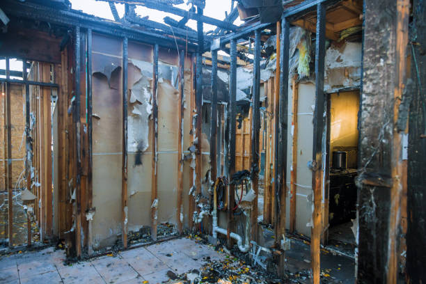 Professional Firefighting Water Removal technician working in Hobart, WA